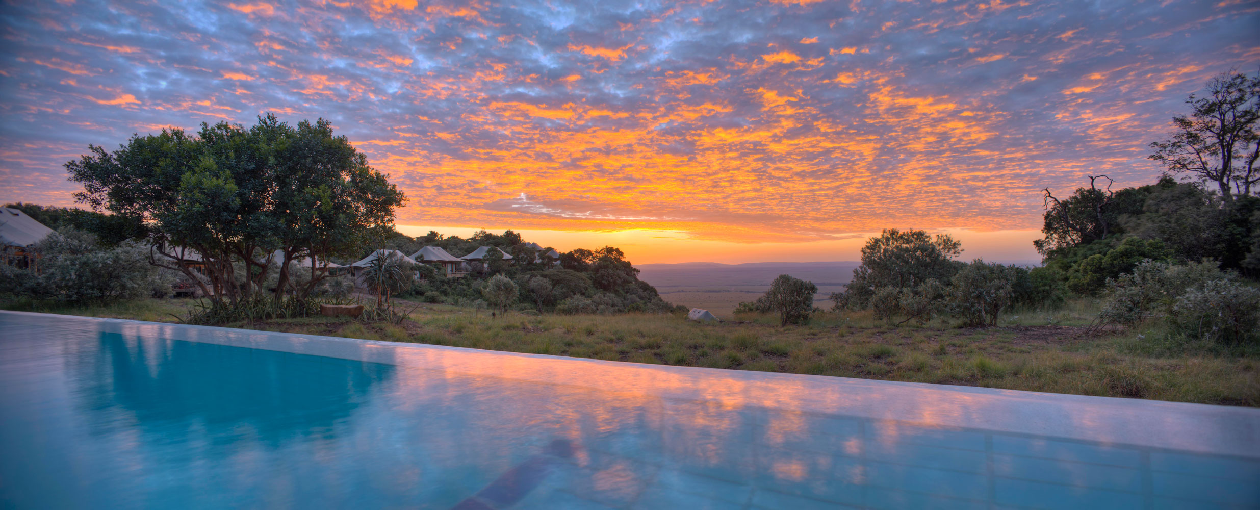 Out of Africa - Gallery Image #400
